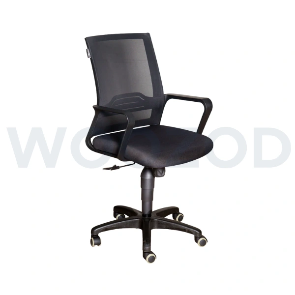 Woozod D3 Low Back Office Chair - Ergonomic Comfort with Premium Style