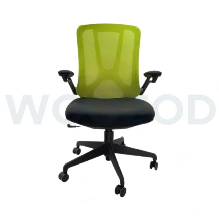 Ergonomic Office Chair Pakistan – Mesh Chair with Lumbar Support
