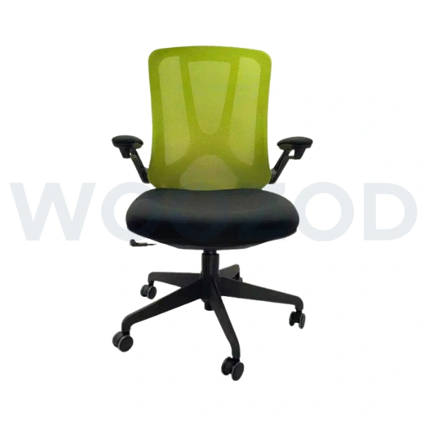 Ergonomic Office Chair Pakistan – Mesh Chair with Lumbar Support