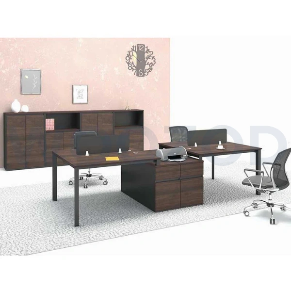 Woozod WS-21 Modern Office Workstation with customizable laminated sheet and PVC edging.